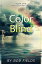 Color BlindŻҽҡ[ Bob Fields ]