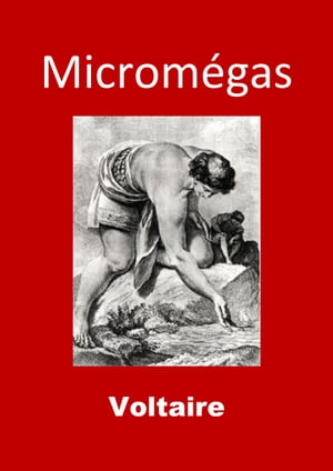 Micromégas