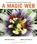 A Magic Web