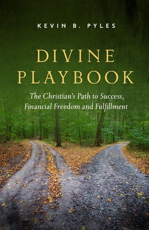 Divine Playbook The Christian's Path to Success, Financial Freedom and Fulfillment