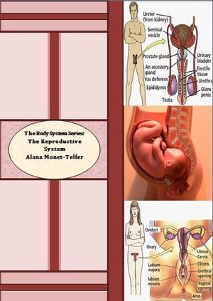 The Body System Series: The Reproductive System