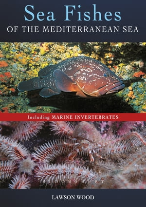 Sea Fishes Of The Mediterranean Including Marine Invertebrates