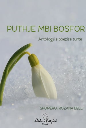 Puthje Mbi Bosfor: Antologji e Poezisë Turke