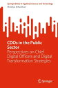 CDOs in the Public Sector Perspectives on Chief 