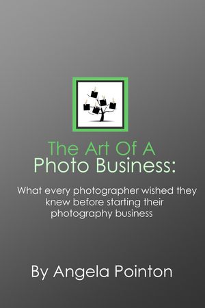 The Art Of A Photo Business: what every photographer wished they learned before starting their photography business