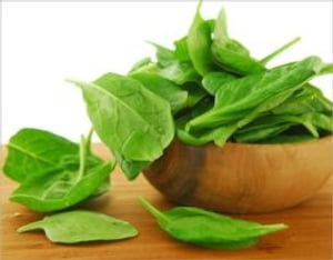 A Crash Course on How to Grow Spinach