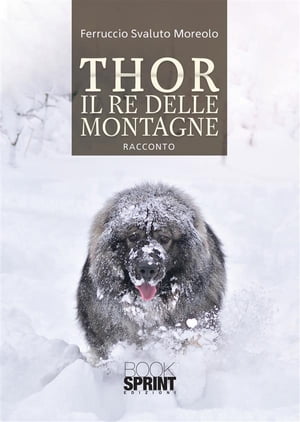Thor il re delle montagne