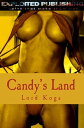 Candy's Land【電子書籍】[ Lord Koga ]