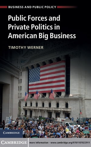 Public Forces and Private Politics in American Big Business