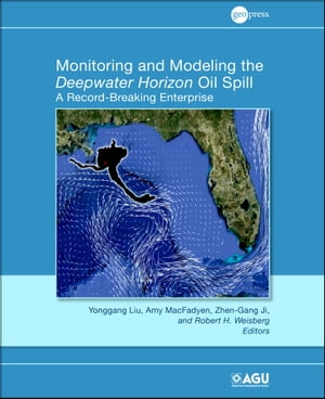 Monitoring and Modeling the Deepwater Horizon Oil Spill