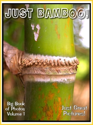 Just Bamboo Photos! Big Book of Photographs & Pictures of Bamboo, Vol. 1