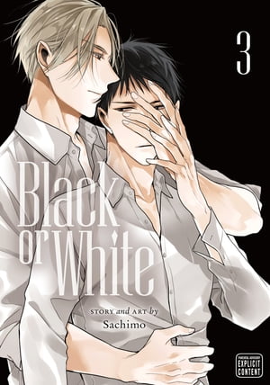 Black or White, Vol. 3 (Yaoi Manga)