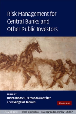 Risk Management for Central Banks and Other Public Investors