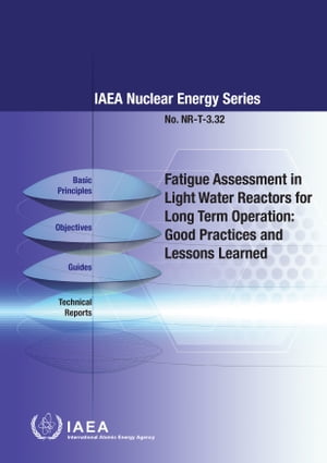 Fatigue Assessment in Light Water Reactors for Long Term Operation