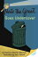 #2: Nate the Great Goes Undercoverβ