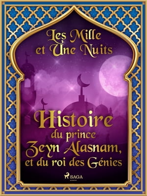 Histoire du prince Zeyn Alasnam, et du roi des Génies 