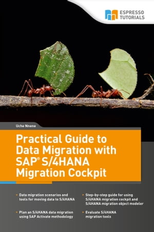 Practical Guide to Data Migration with SAP S/4HANA Migration Cockpit...
