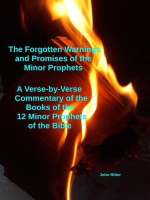 ŷKoboŻҽҥȥ㤨The Forgotten Warnings and Promises of the Minor Prophets A Verse-by-Verse Commentary of the Books of the 12 Minor Prophets of the BibleŻҽҡ[ JOHNY RITTER ]פβǤʤ150ߤˤʤޤ