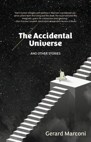 The Accidental Universe and Other Stories