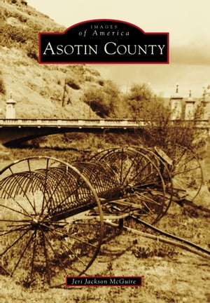 Asotin County