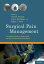 Surgical Pain Management A Complete Guide to Implantable and Interventional Pain TherapiesŻҽҡ