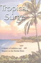 Tropical Surge A History of Ambition and Disaster on the Florida Shore