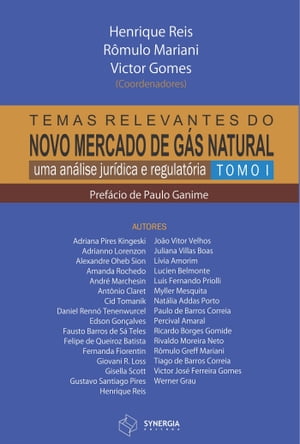 Temas relevantes no novo mercado de gás natural