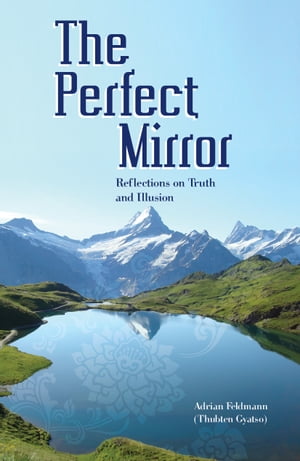 The Perfect Mirror: Reflections on Truth and Ill