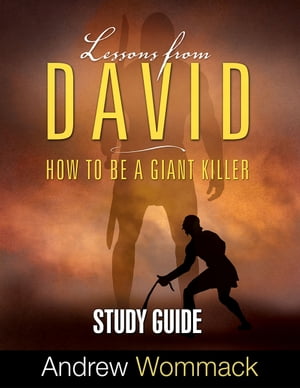 Lessons From David Study Guide