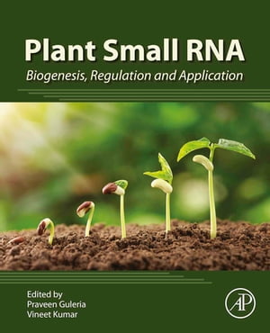 Plant Small RNA
