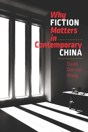 Why Fiction Matters in Contemporary China