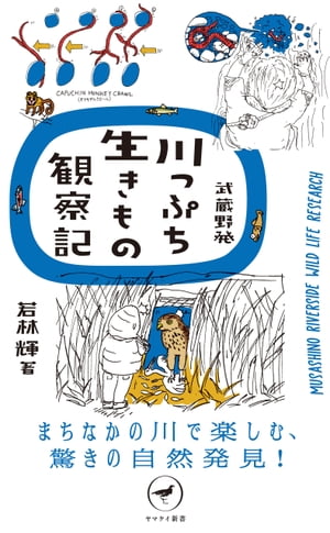 ヤマケイ新書 武蔵野発 川っぷち生きもの観察記【電子書籍】[ 若林 輝 ]