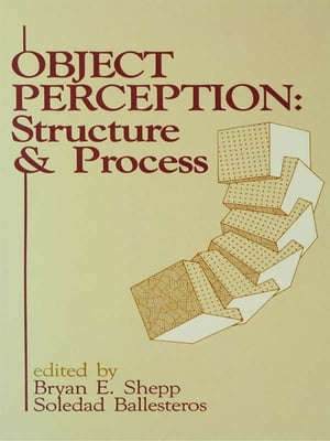 Object Perception Structure and ProcessŻҽҡ