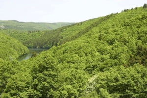 Edge of the Jungle【電子書籍】[ Richard Beebe ]