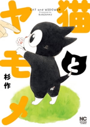 猫とヤモメ