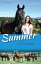 Summer with Horses Book 2 - White Cloud StationŻҽҡ[ Trudy Nicholson ]