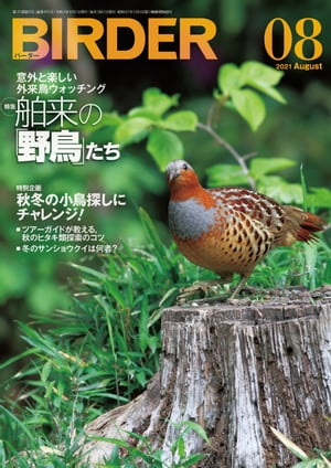 BIRDER2021年8月号