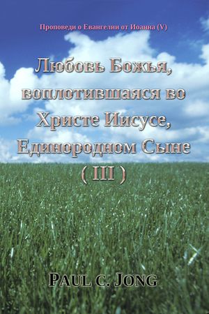 Проповеди о Евангелии от Иоанна (V) - Любовь Божья, воплотившаяся во Христе Иисусе, Единородном Сыне (III)