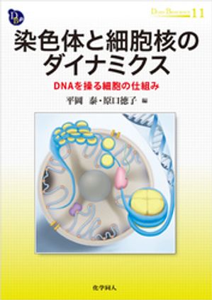 染色体と細胞核のダイナミクス: DNAを操る細胞の仕組み (DOJIN BIOSCIENCE SERIES 11)【電子書籍】[ 平岡泰 ]