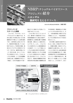 NBRP紹介 : ニホンザル ー脳研究を支えるリソースー