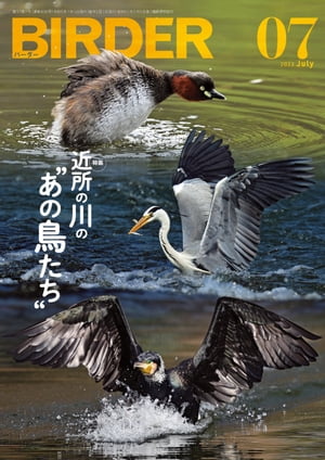 BIRDER2023年7月号【電子書籍】 BIRDER編集部