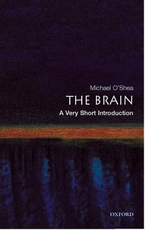 The Brain: A Very Short Introduction