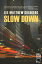 Slow DownŻҽҡ[ Lee Matthew Goldberg ]