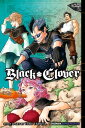 Black Clover, Vol. 7 The Magic Knight Captain Conference