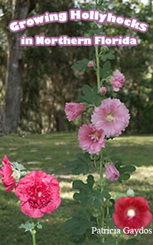 Growing Hollyhocks in Northern Florida