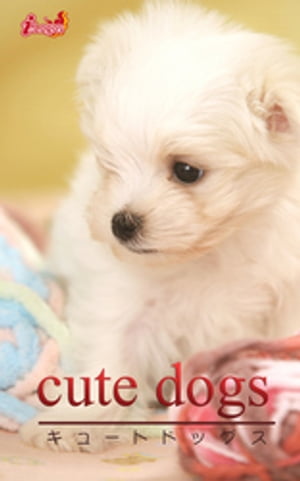 cute dogs32 }`[YydqЁz