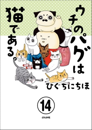 ウチのパグは猫である。（分冊版） 【第14話】