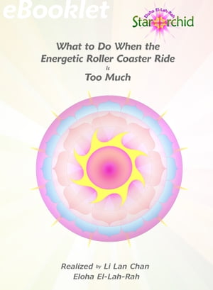 What to do when the Energetic Roller Coaster Ride is Too Much【電子書籍】[ Li Lan Chan ]