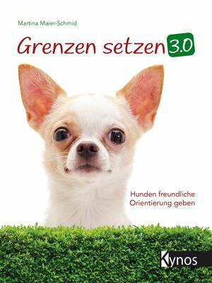 Grenzen setzen 3.0 Hunden freundliche Orientierung geben