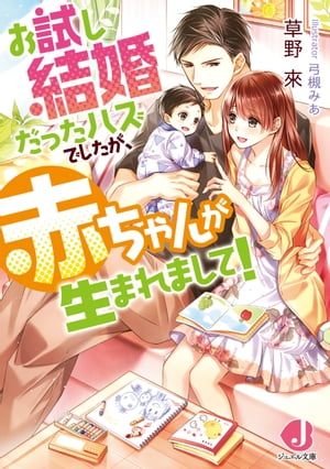 お試し結婚だったハズでしたが、赤ちゃんが生まれまして！【電子書籍特典付き】